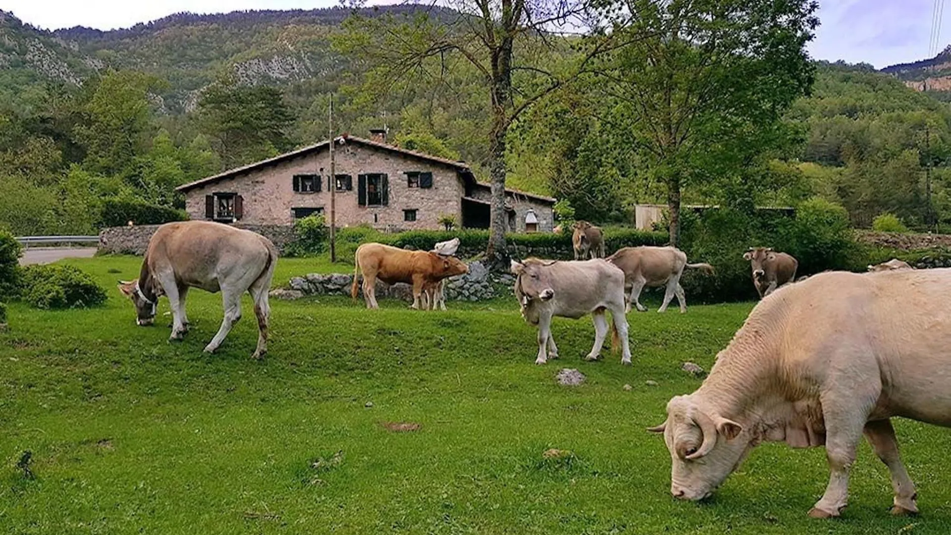 Hauzify I Domus Molina Lägenhet La Molina  Spanien